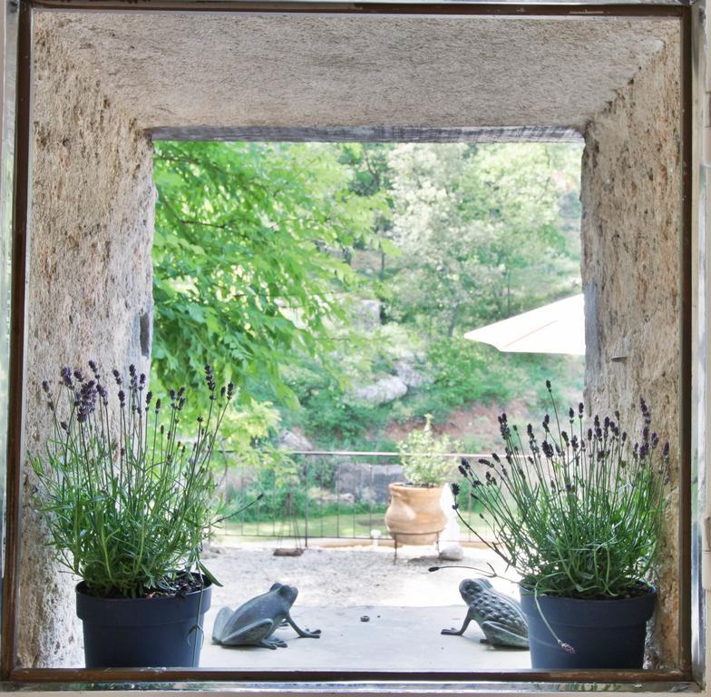לינה וארוחת בוקר Saint-Antonin-sur-Bayon Le Moulin En Provence מראה חיצוני תמונה